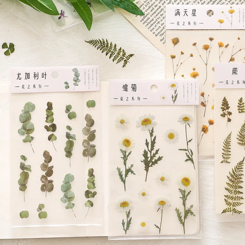 6 Minták Természetes Daisy Lóhere Japán Szavak Matrica Átlátszó PET Anyag Virágok, Levelek, Növények, Dekorációs Matrica