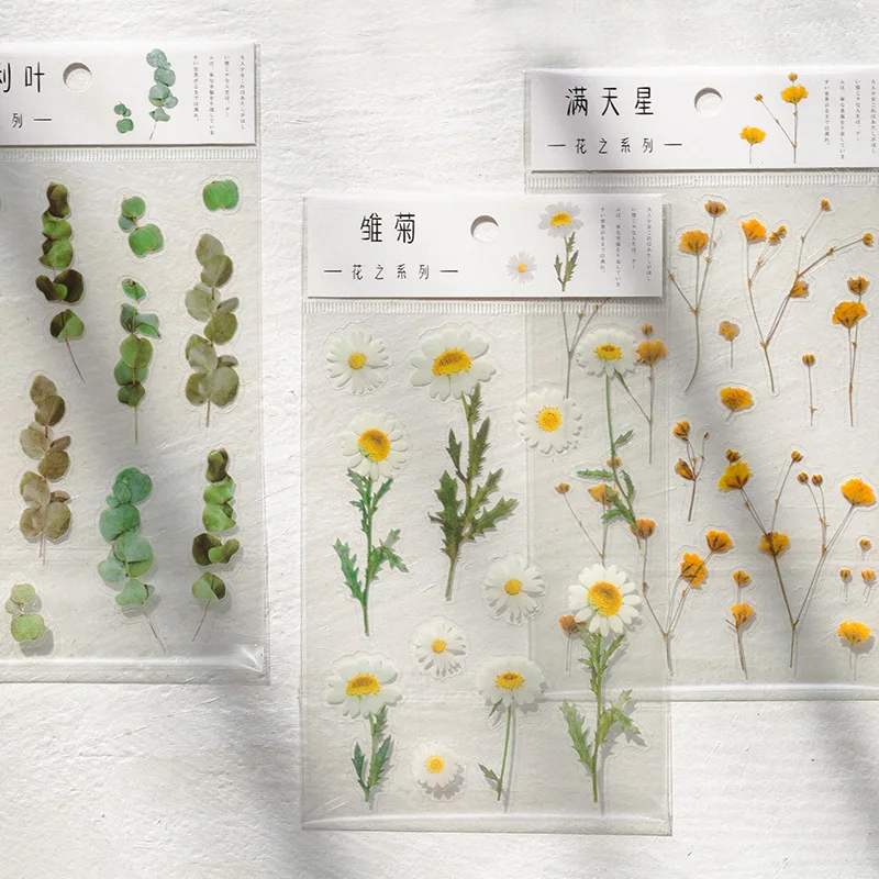 6 Minták Természetes Daisy Lóhere Japán Szavak Matrica Átlátszó PET Anyag Virágok, Levelek, Növények, Dekorációs Matrica Kép 1 