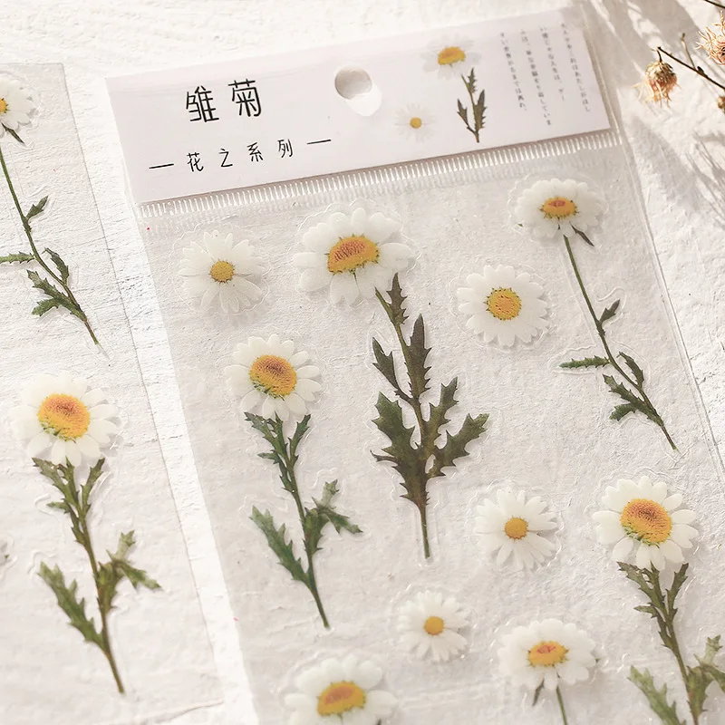 6 Minták Természetes Daisy Lóhere Japán Szavak Matrica Átlátszó PET Anyag Virágok, Levelek, Növények, Dekorációs Matrica Kép 3 