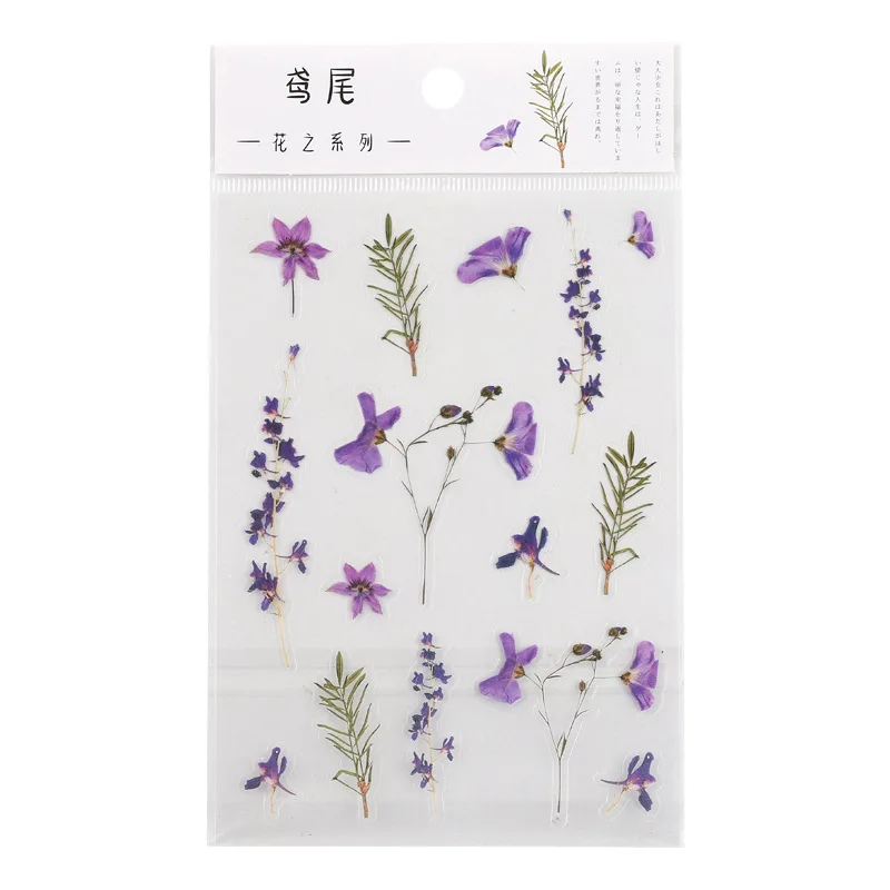 6 Minták Természetes Daisy Lóhere Japán Szavak Matrica Átlátszó PET Anyag Virágok, Levelek, Növények, Dekorációs Matrica Kép 4 