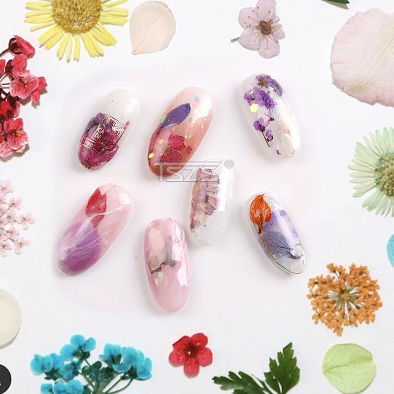 Mix Színek 1 Kerék Szárított Virág 3D Nail Art Dekoráció Természetes Virágot, Matricát köröm Manikűr Tartozékok Tipp Kép 3 